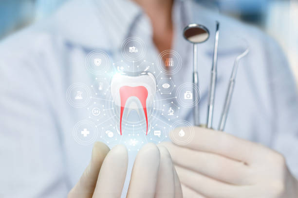 Best Preventive Dentistry  in Park Hills, MO